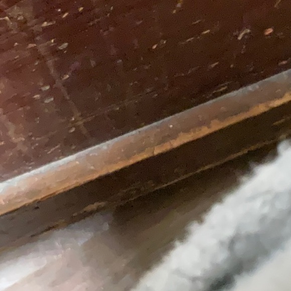 Robin Lehman glass art turtles - Picture 4 of 6